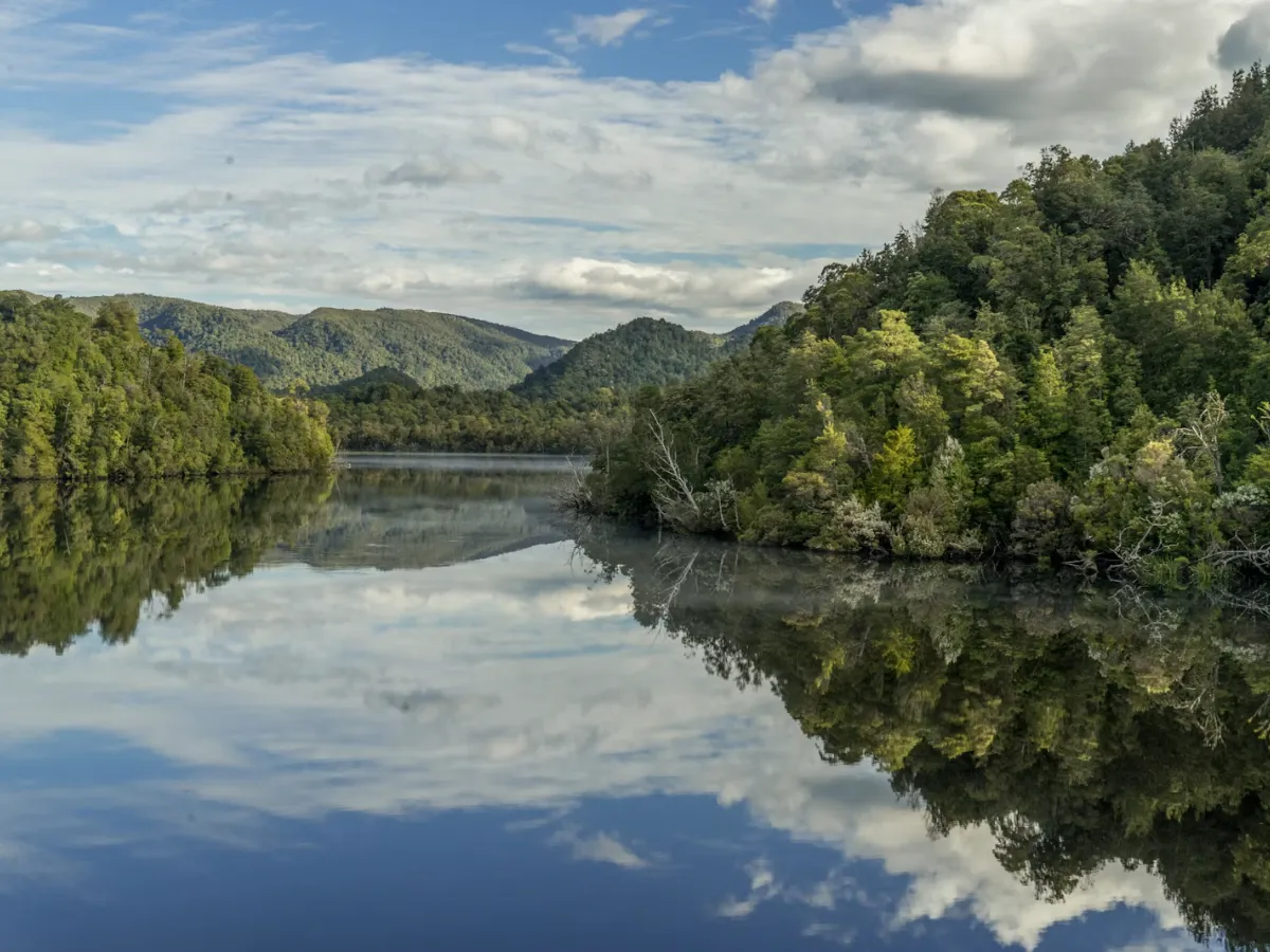 River running through Tasmanian bushland